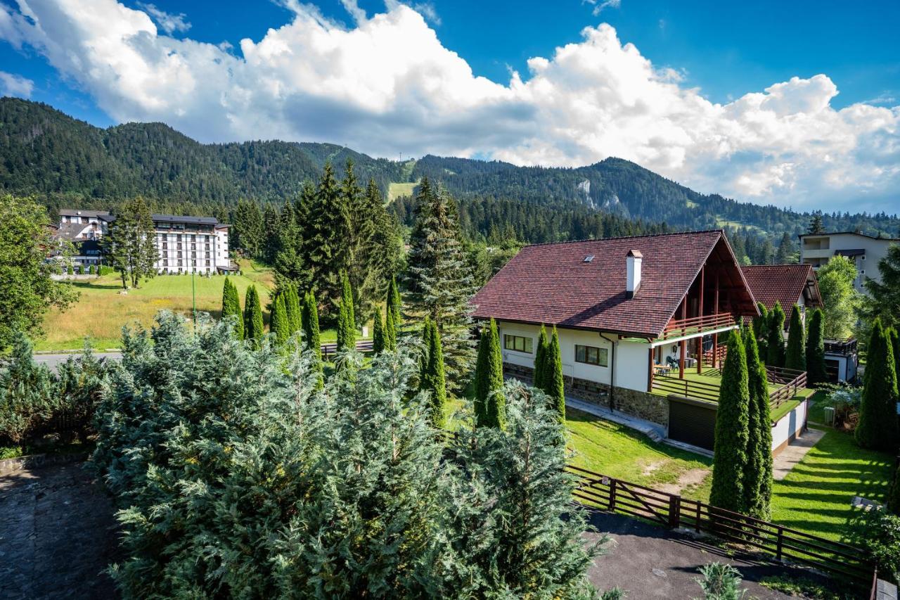 Pensiunea Sura Dacilor - Alex Poiana Brașov Exterior foto