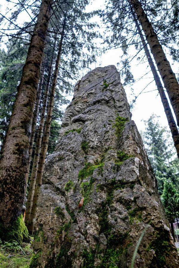 Pensiunea Sura Dacilor - Alex Poiana Brașov Exterior foto